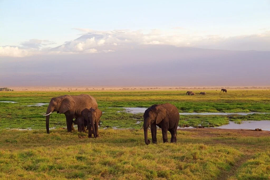 5 Facts About Mount Kilimanjaro That Will Blow Your Mind